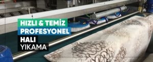 İzmit Bekirdere Halı Yıkama